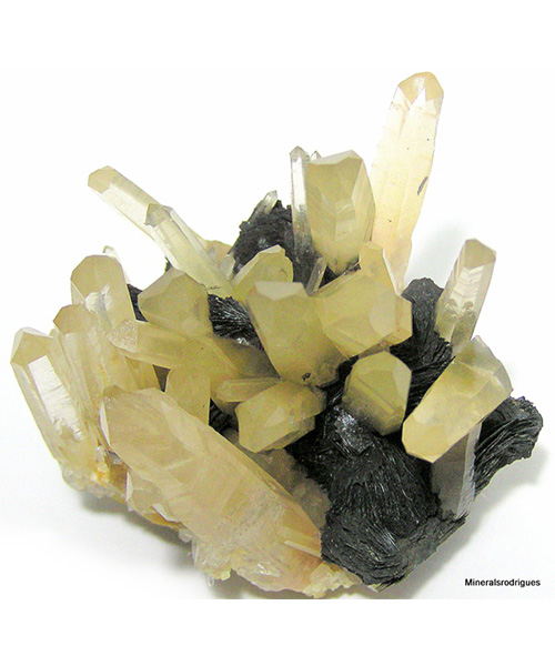 Minerals Rodrigues
